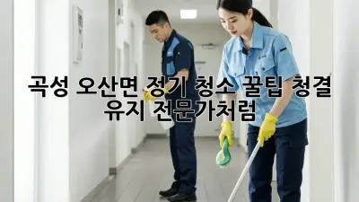 곡성 오산면 정기 청소 꿀팁🍯: 청결 유지, 전문가처럼!