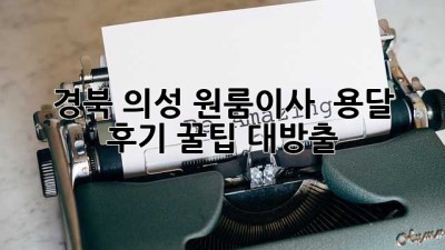 경북 의성 원룸이사 🚚 용달 후기! 꿀팁 대방출 ✨