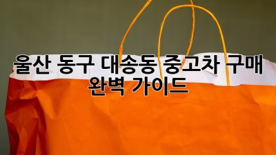 울산 동구 대송동 중고차 구매 완벽 가이드